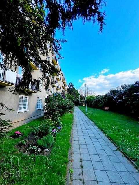 Rent Apartment for 3+1 Brno, Šaumannova č. 1